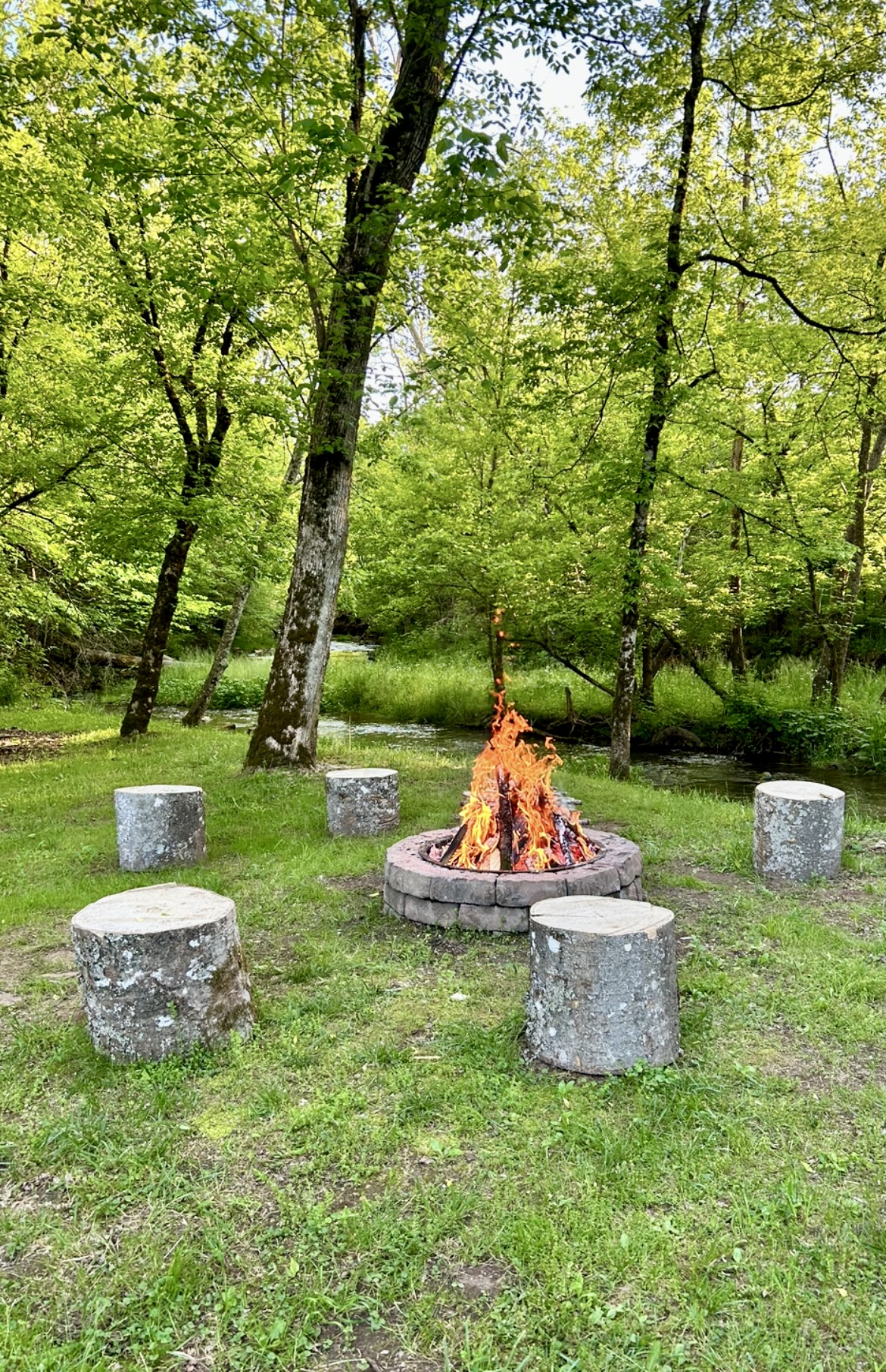 Stone fire pit with log seating at Rooster Run