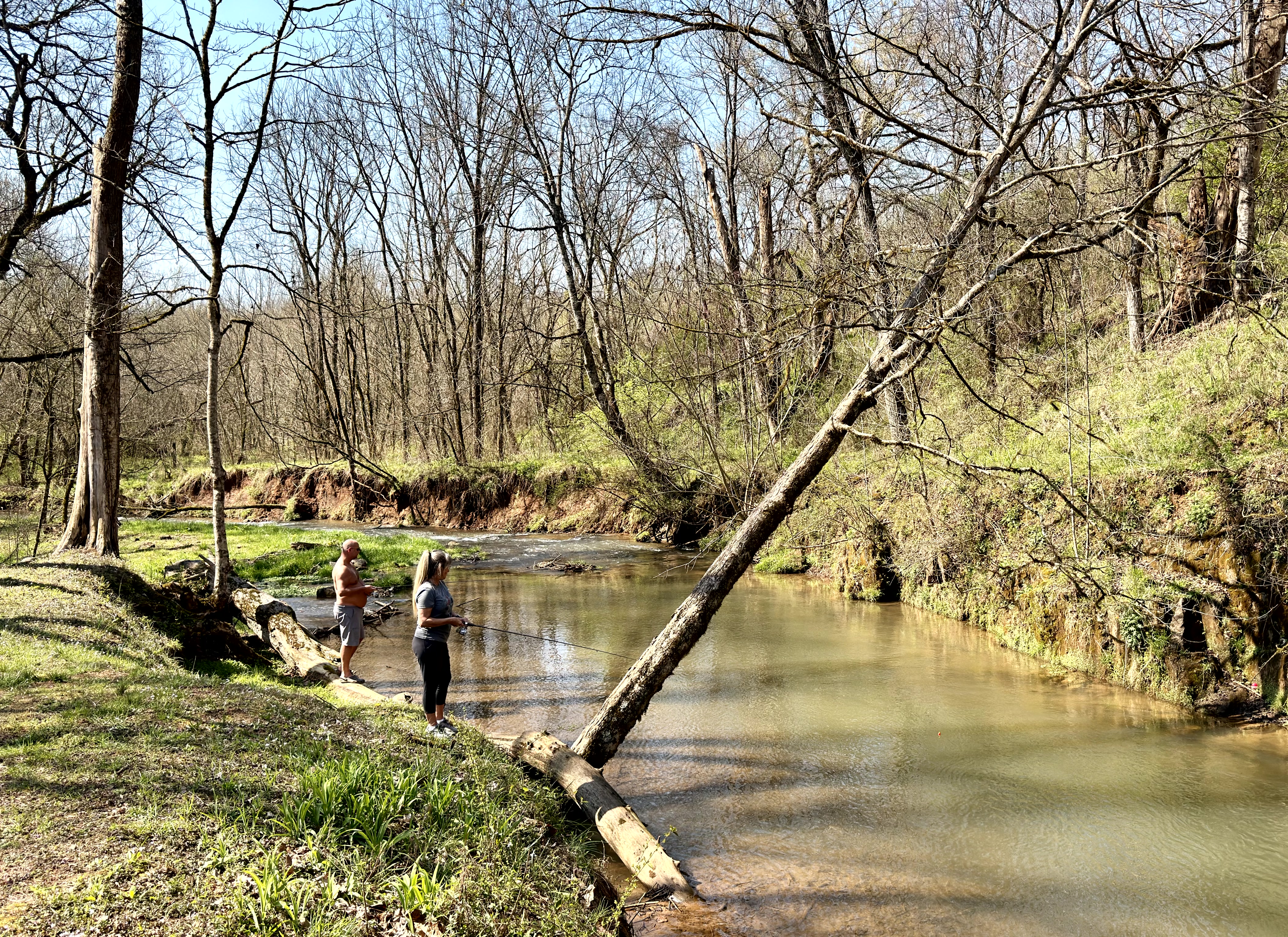 Rooster Run property