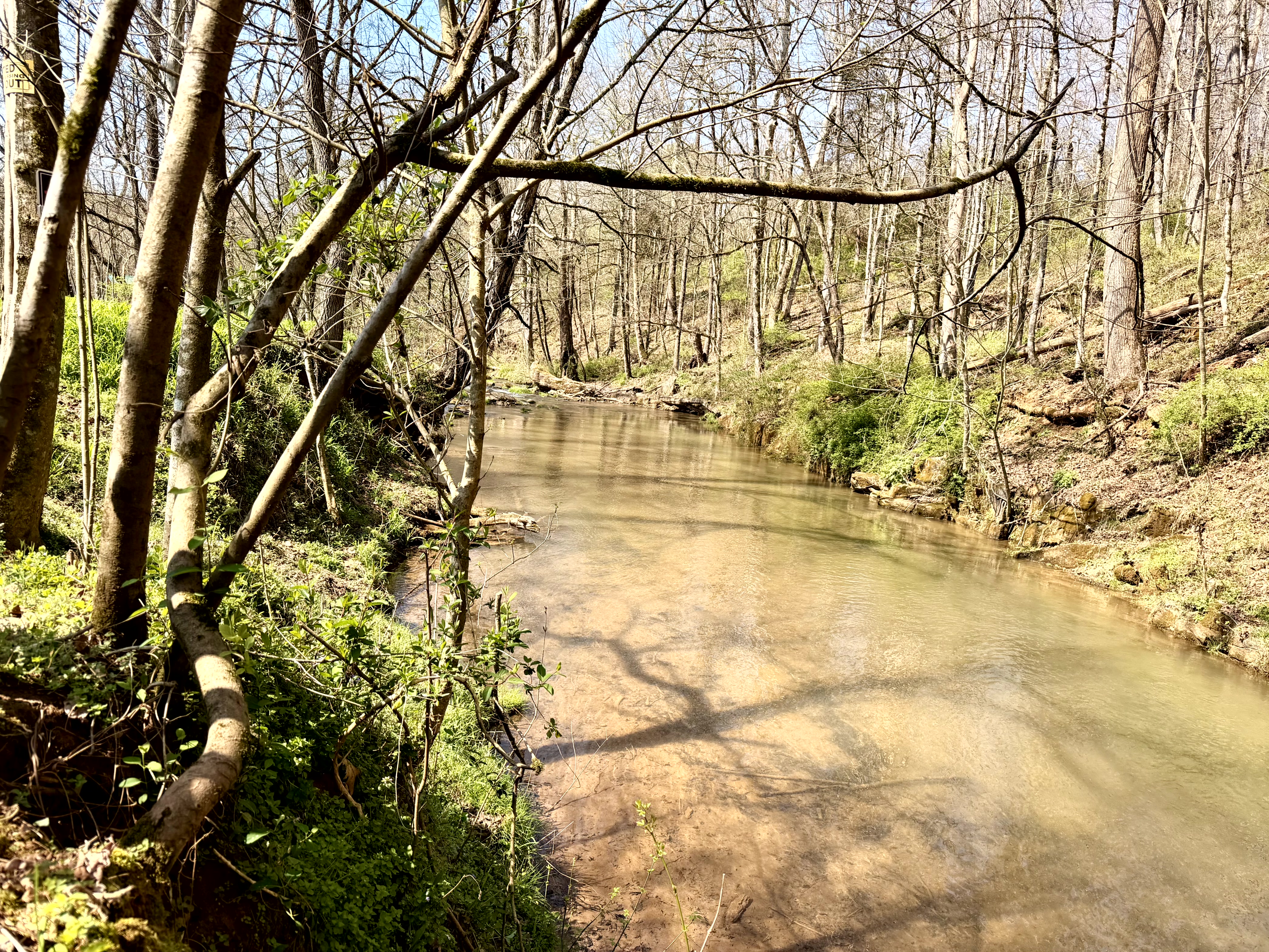 Rooster Run property