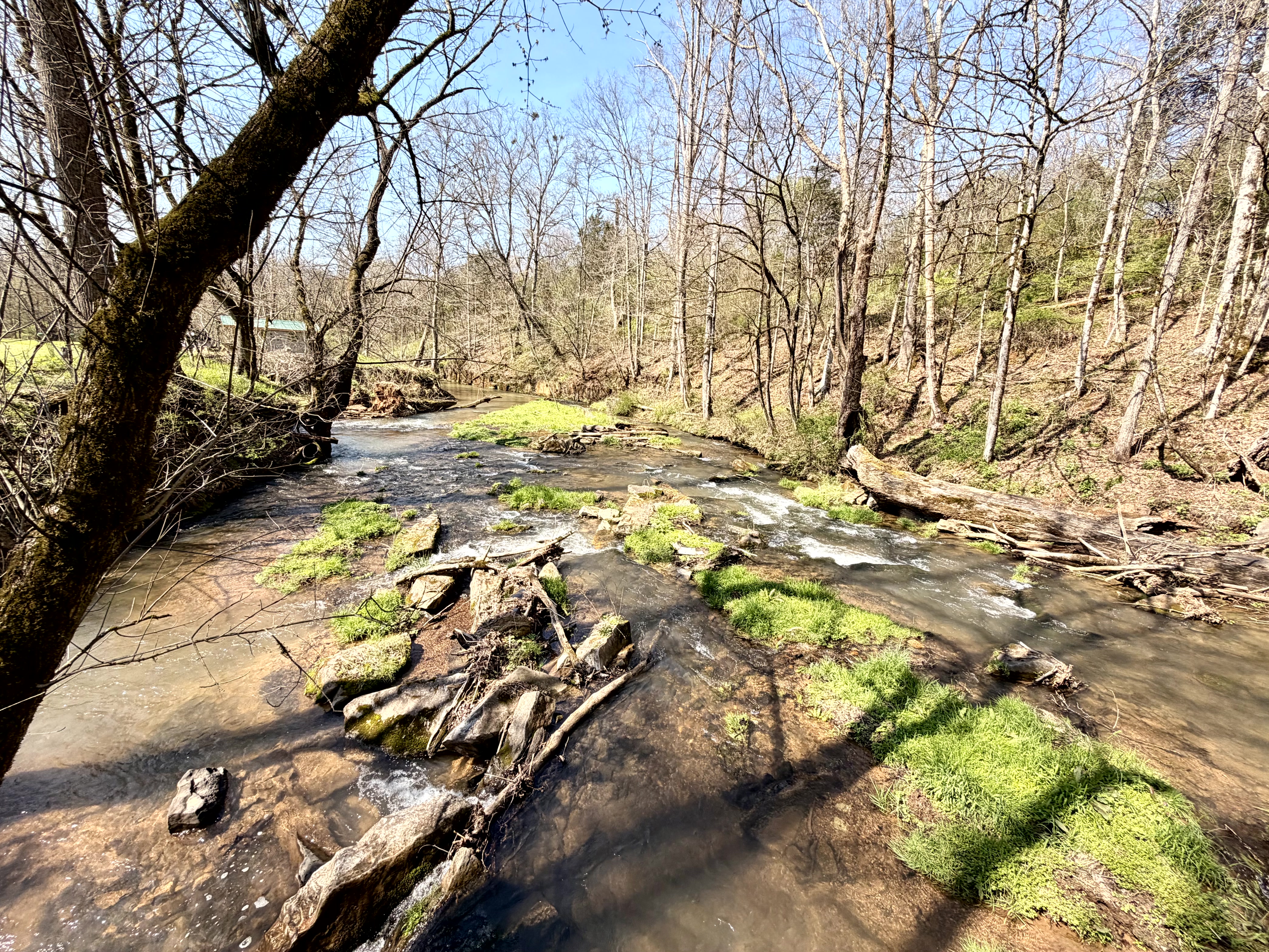 Rooster Run property