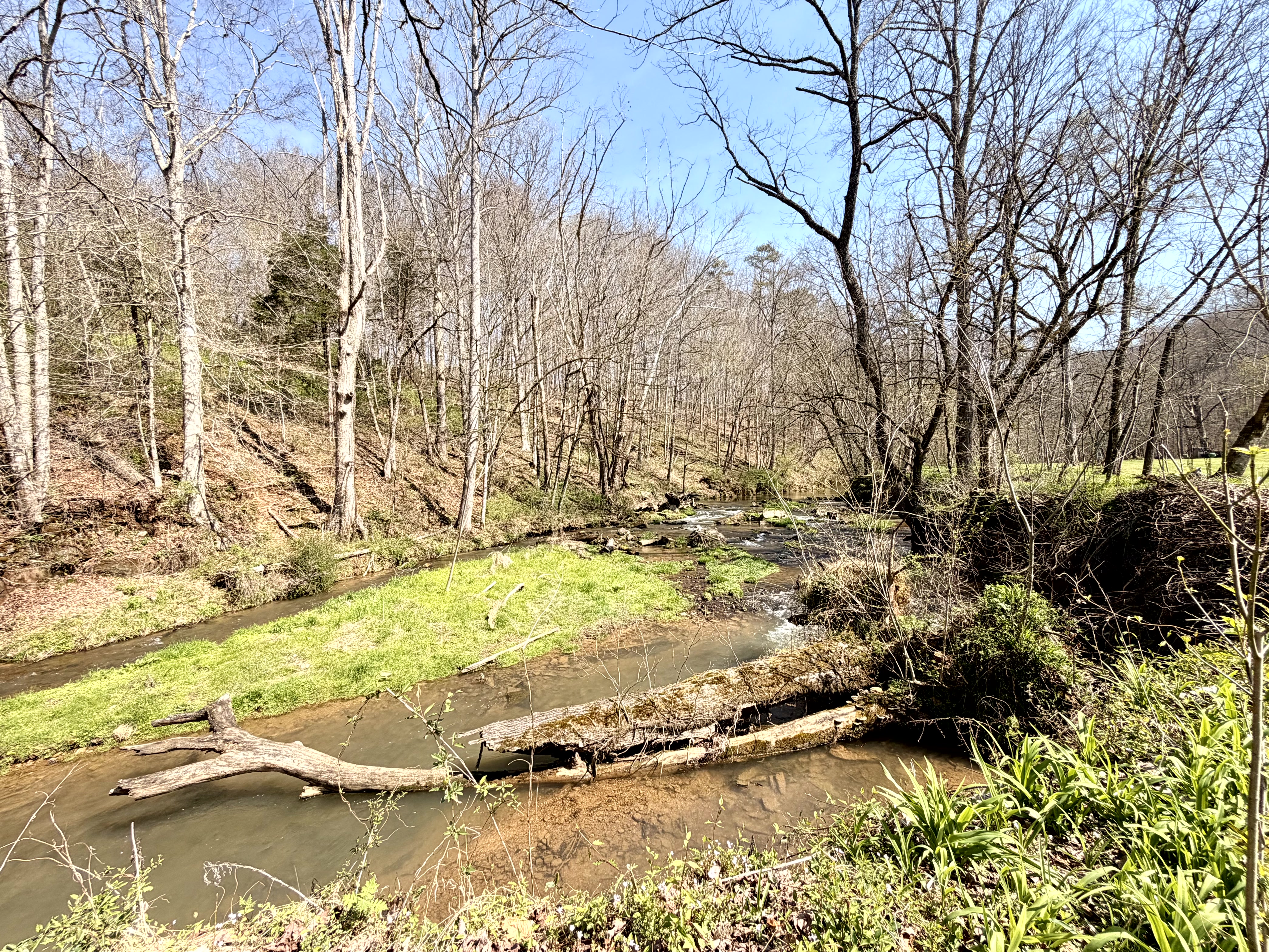 Rooster Run property