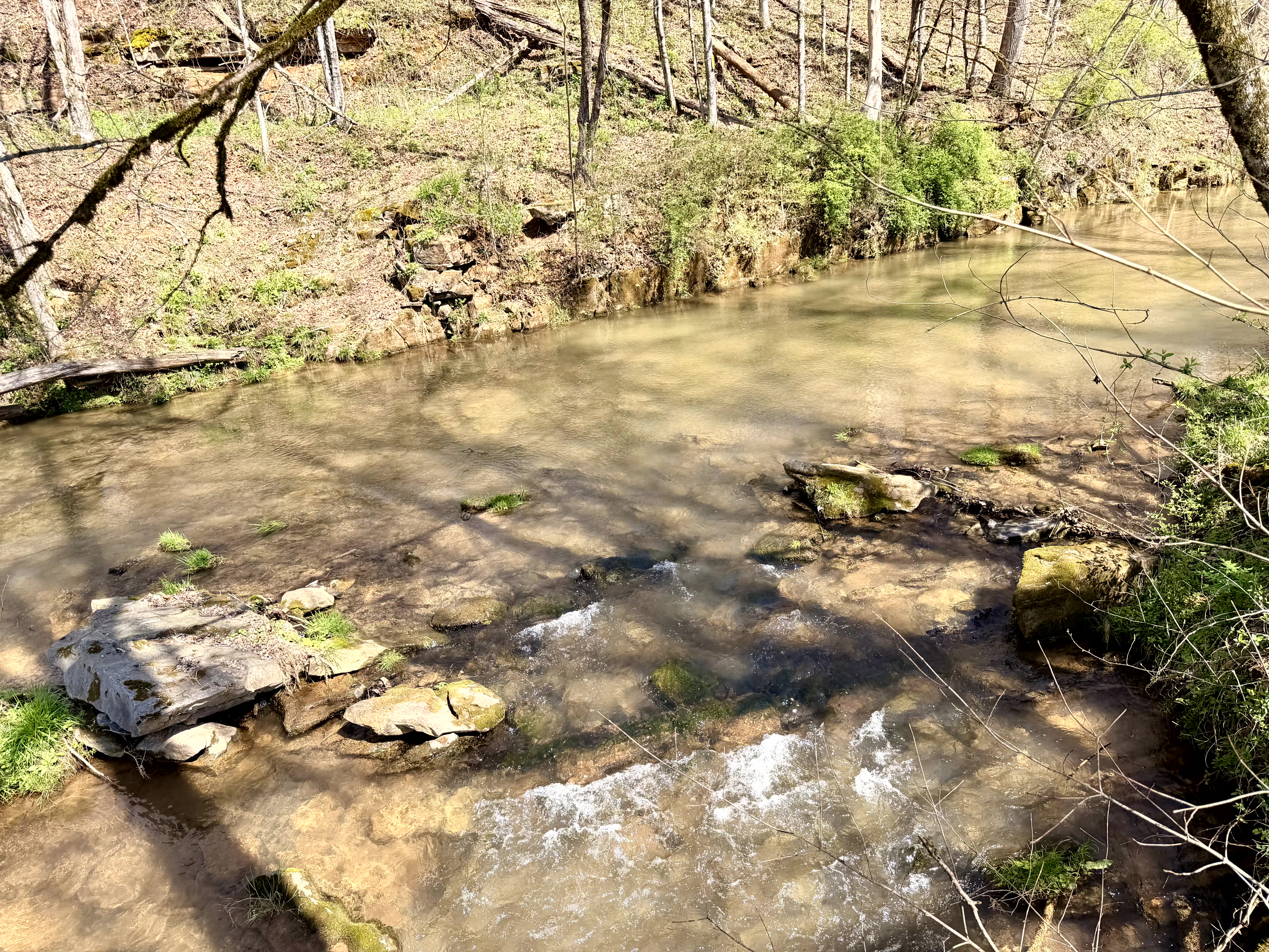 Rooster Run property