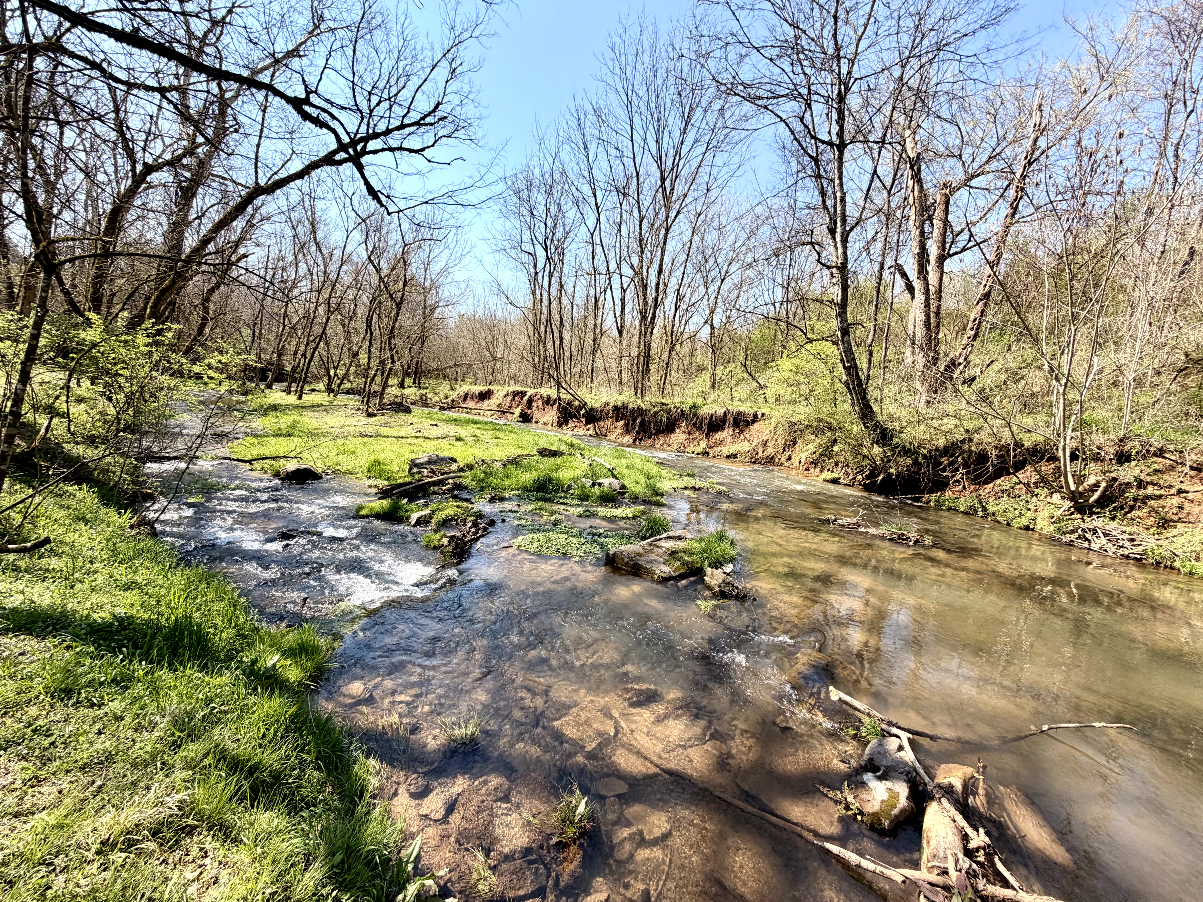 Rooster Run property