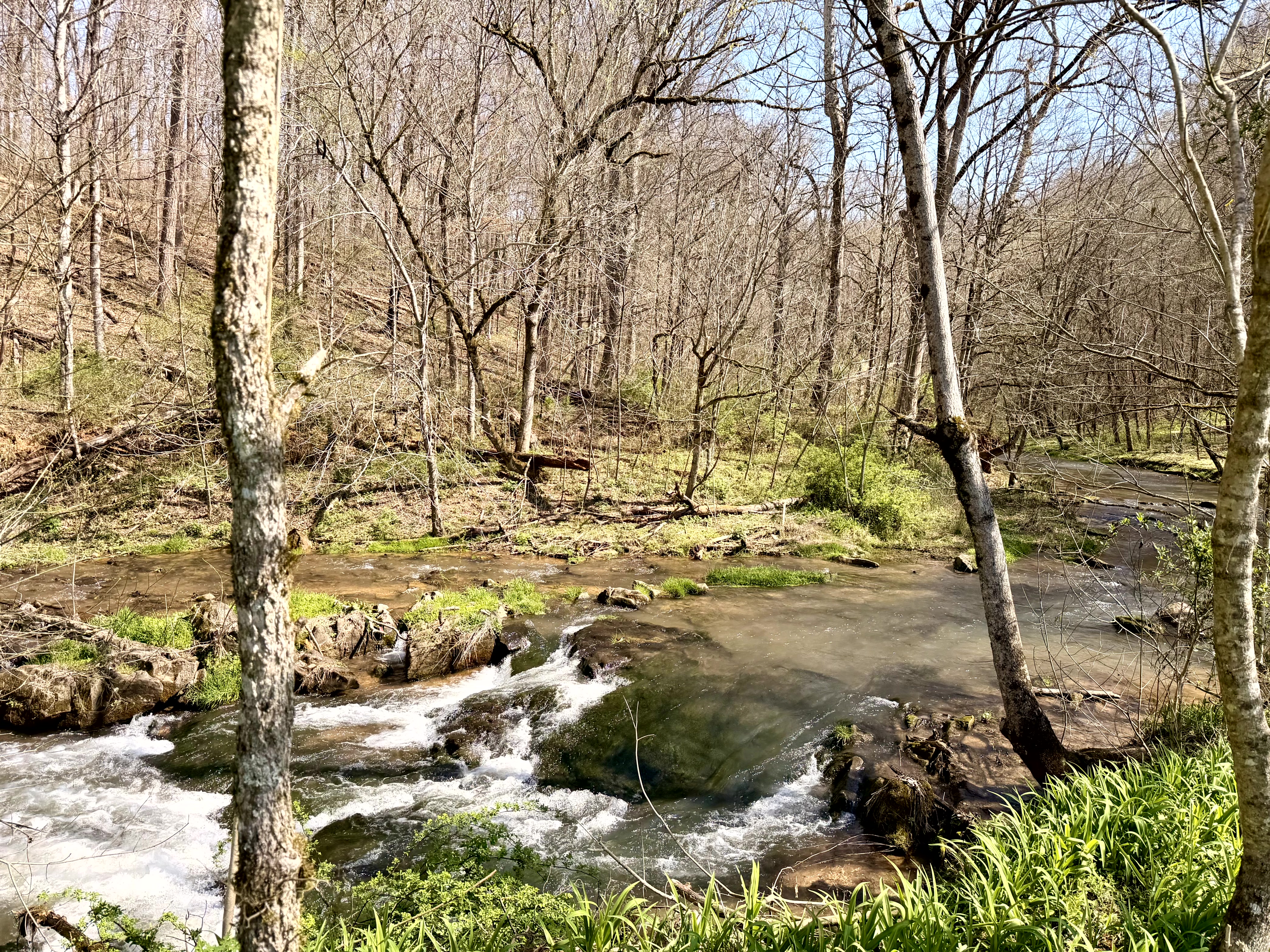 Rooster Run property