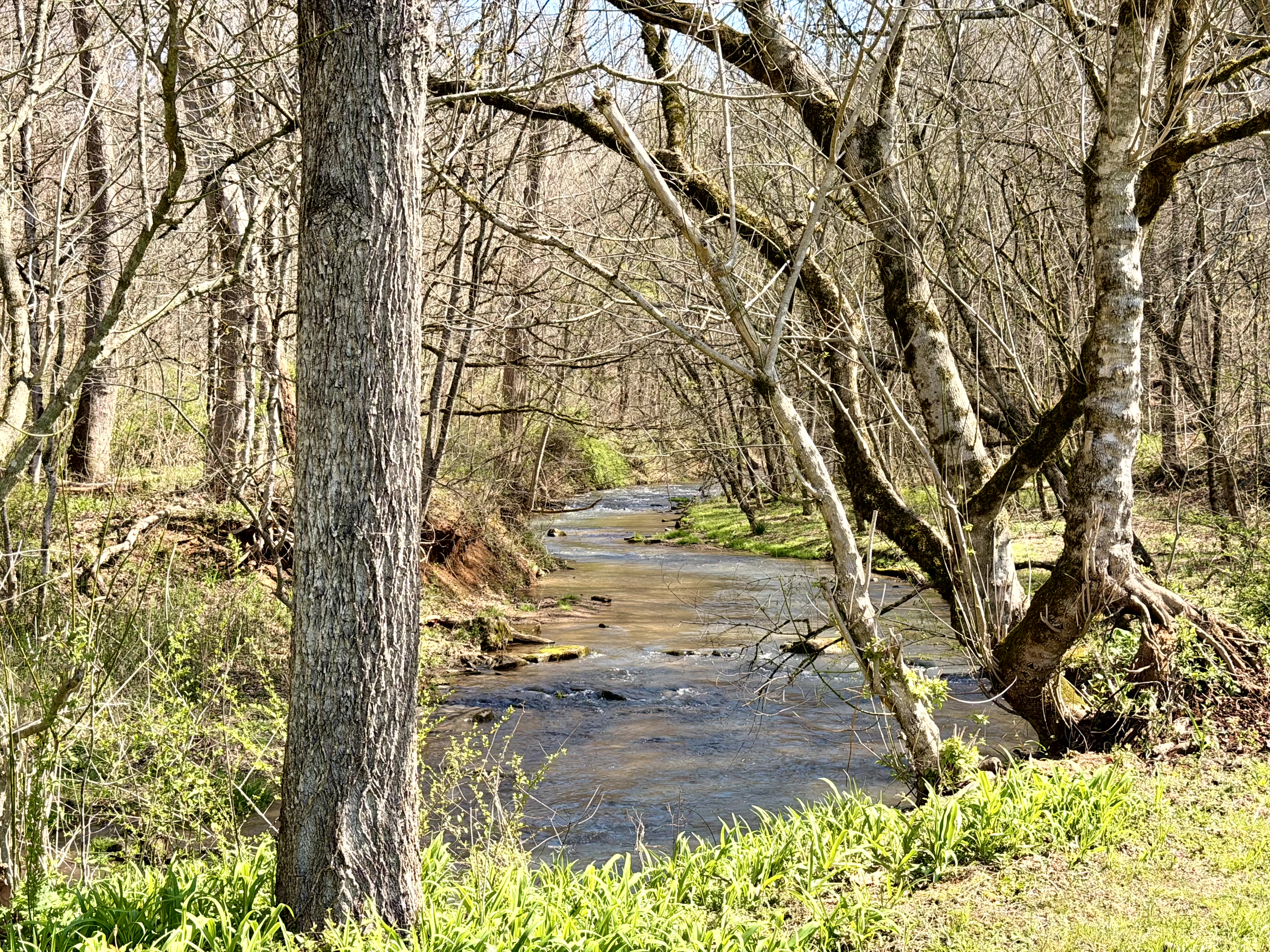 Rooster Run property